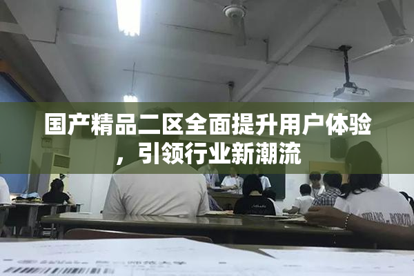 国产精品二区全面提升用户体验，引领行业新潮流
