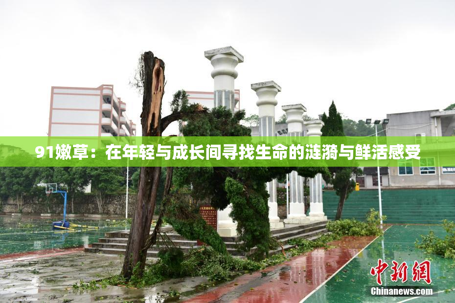 91嫩草：在年轻与成长间寻找生命的涟漪与鲜活感受