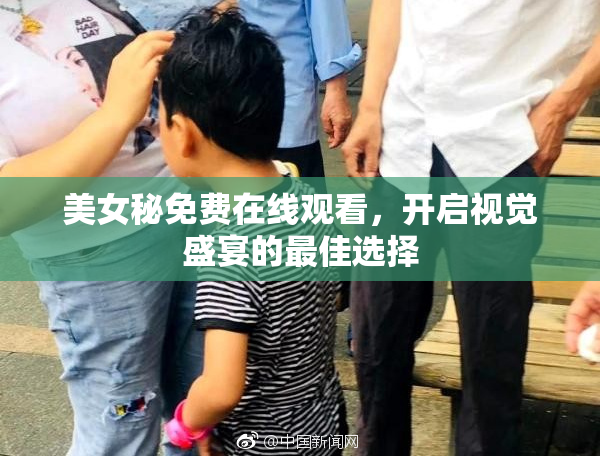 美女秘免费在线观看，开启视觉盛宴的最佳选择