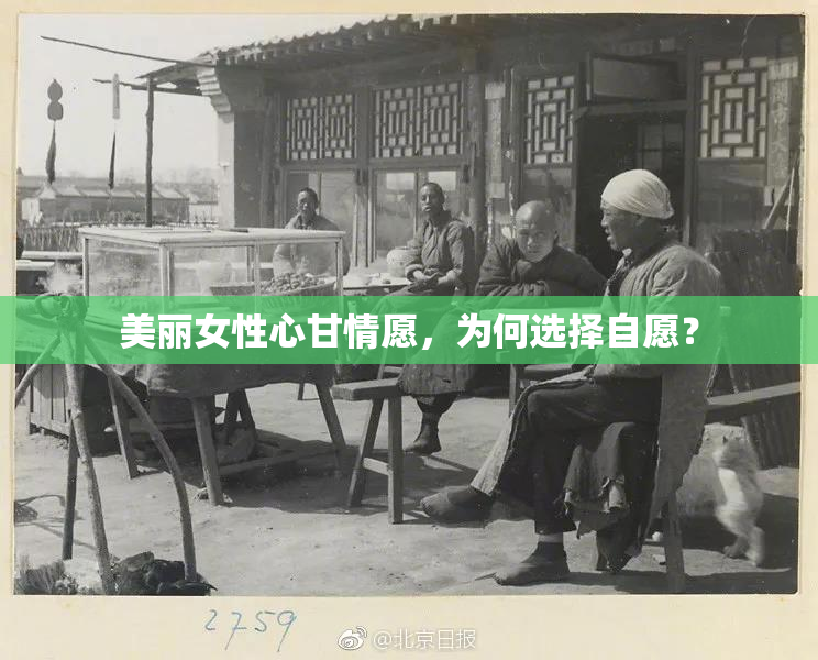 美丽女性心甘情愿，为何选择自愿？