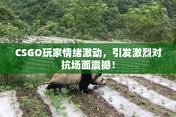 CSGO玩家情绪激动，引发激烈对抗场面震撼！