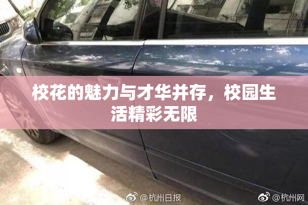 校花的魅力与才华并存，校园生活精彩无限