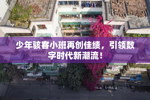 少年骇客小班再创佳绩，引领数字时代新潮流！