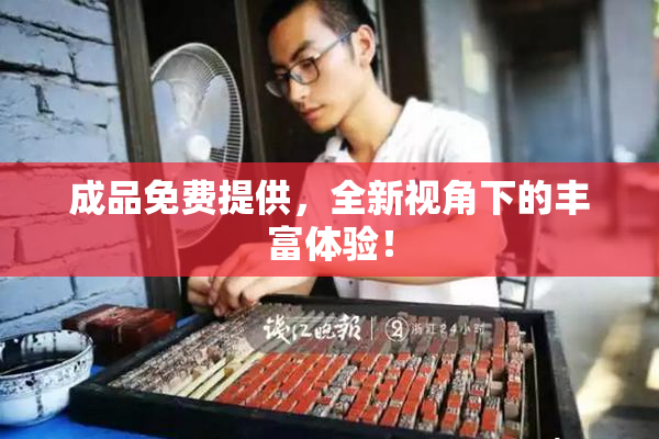 成品免费提供，全新视角下的丰富体验！