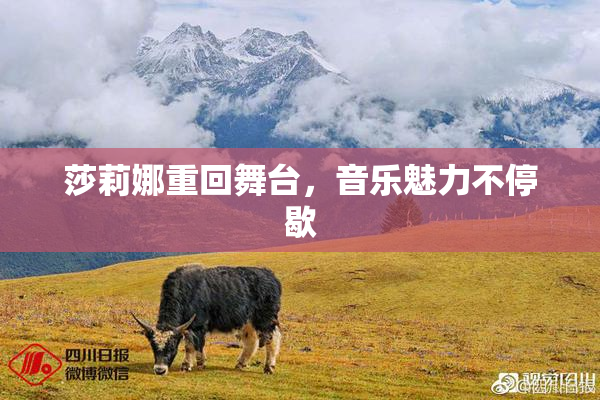 莎莉娜重回舞台，音乐魅力不停歇