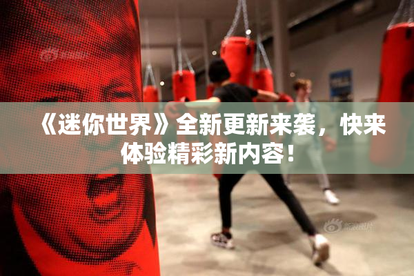 《迷你世界》全新更新来袭，快来体验精彩新内容！