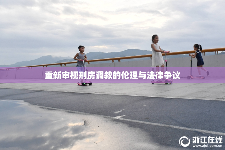 重新审视刑房调教的伦理与法律争议