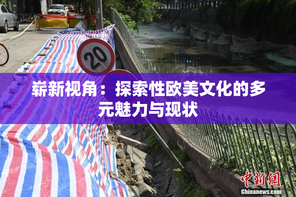 崭新视角：探索性欧美文化的多元魅力与现状