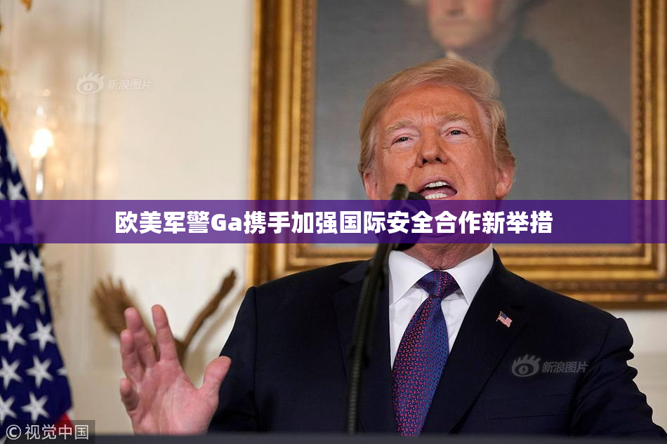 欧美军警Ga携手加强国际安全合作新举措