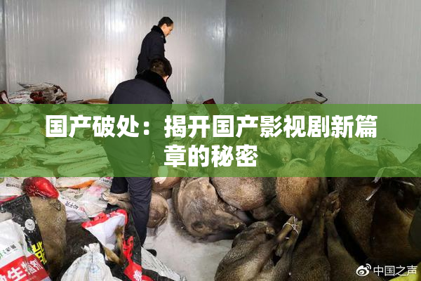 国产破处：揭开国产影视剧新篇章的秘密