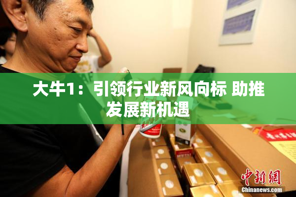 大牛1：引领行业新风向标 助推发展新机遇
