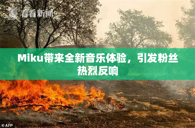 Miku带来全新音乐体验，引发粉丝热烈反响