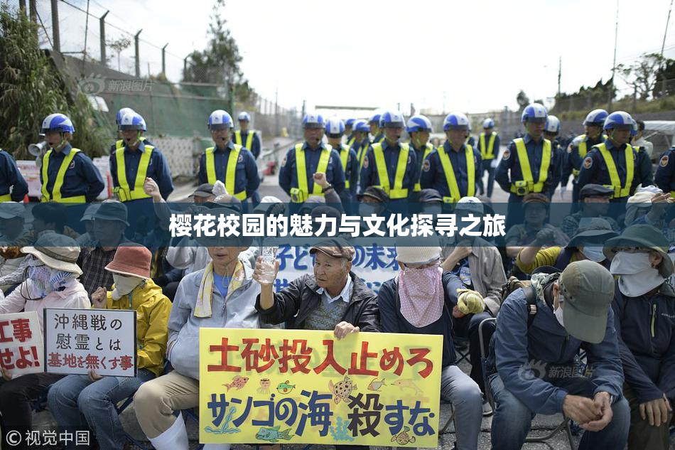 樱花校园的魅力与文化探寻之旅