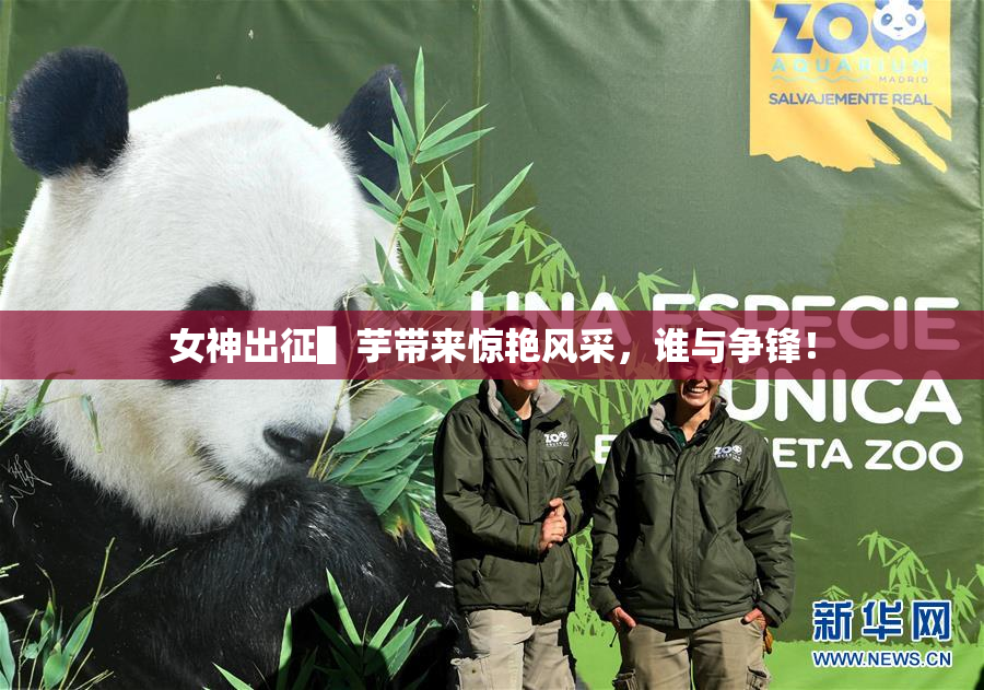 女神出征▌芋带来惊艳风采，谁与争锋！