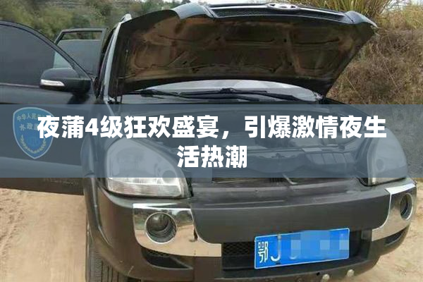 夜蒲4级狂欢盛宴，引爆激情夜生活热潮