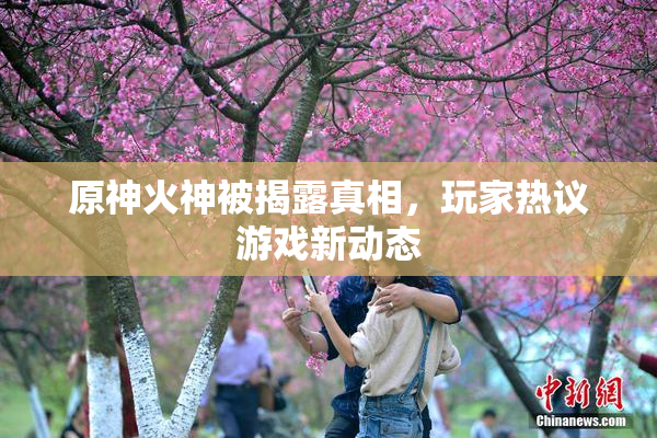原神火神被揭露真相，玩家热议游戏新动态