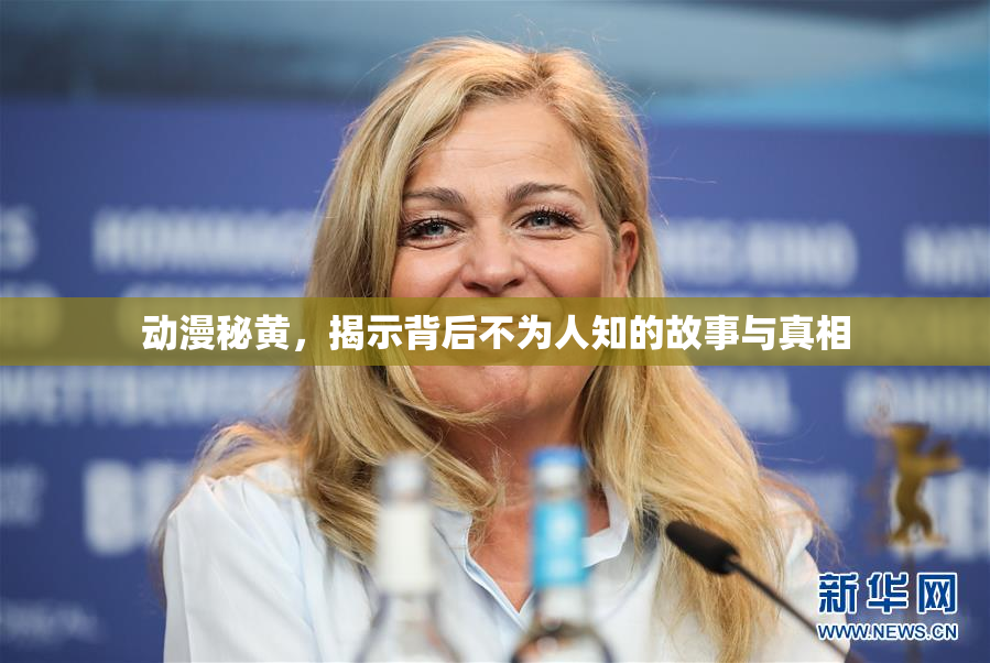 动漫秘黄，揭示背后不为人知的故事与真相
