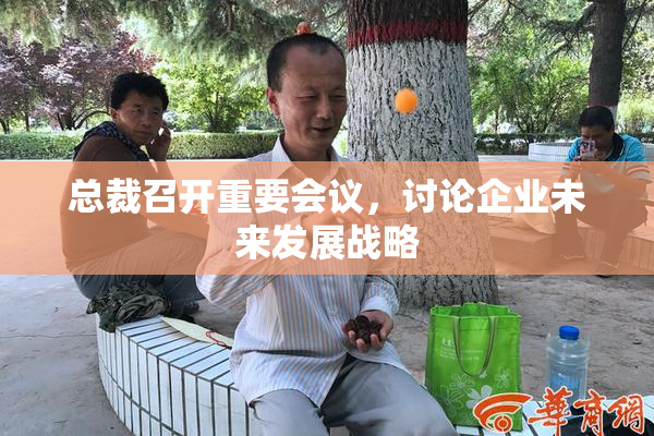 总裁召开重要会议，讨论企业未来发展战略