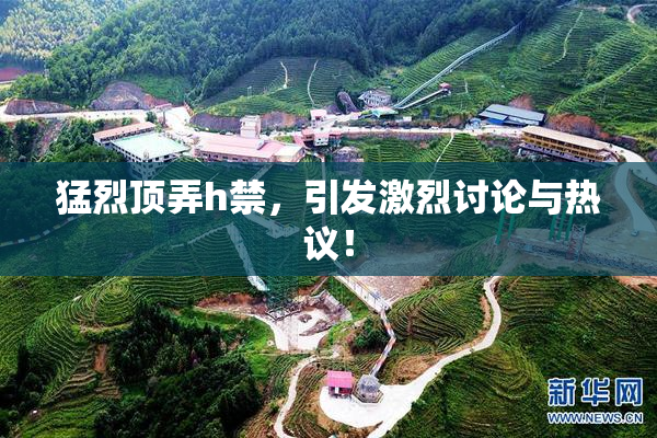 猛烈顶弄h禁，引发激烈讨论与热议！