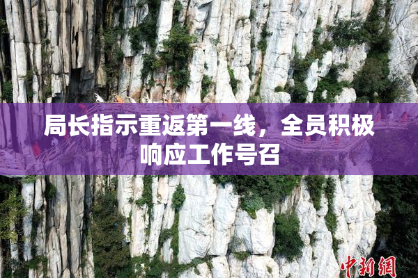 局长指示重返第一线，全员积极响应工作号召