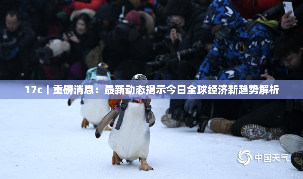 17c丨重磅消息：最新动态揭示今日全球经济新趋势解析