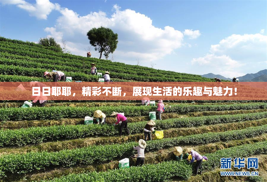 日日耶耶，精彩不断，展现生活的乐趣与魅力！