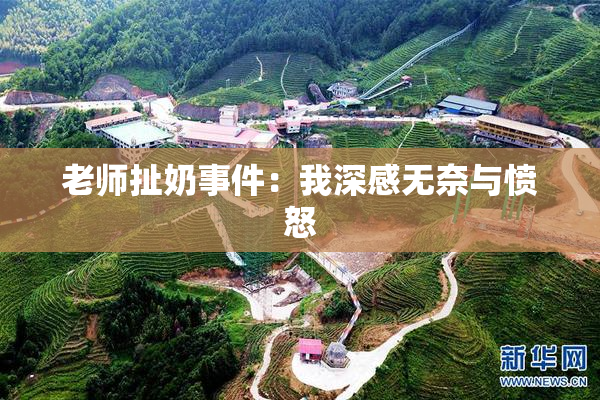 老师扯奶事件：我深感无奈与愤怒