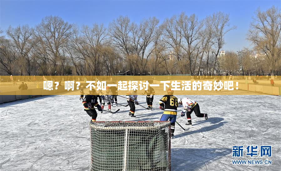 嗯？啊？不如一起探讨一下生活的奇妙吧！