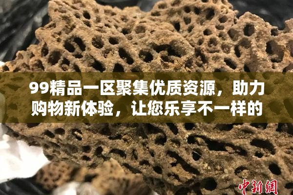 99精品一区聚集优质资源，助力购物新体验，让您乐享不一样的购物乐趣！
