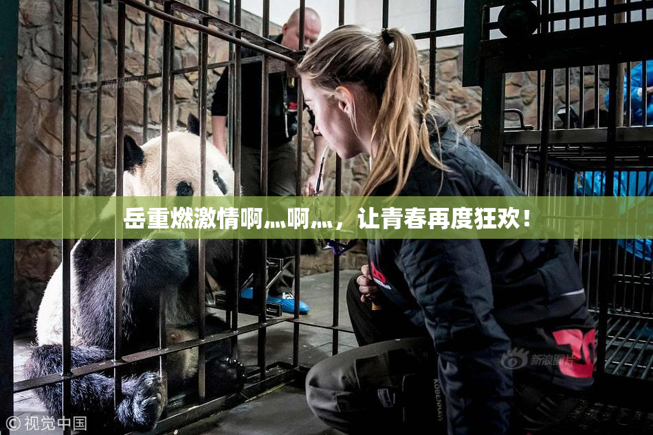 岳重燃激情啊灬啊灬，让青春再度狂欢！