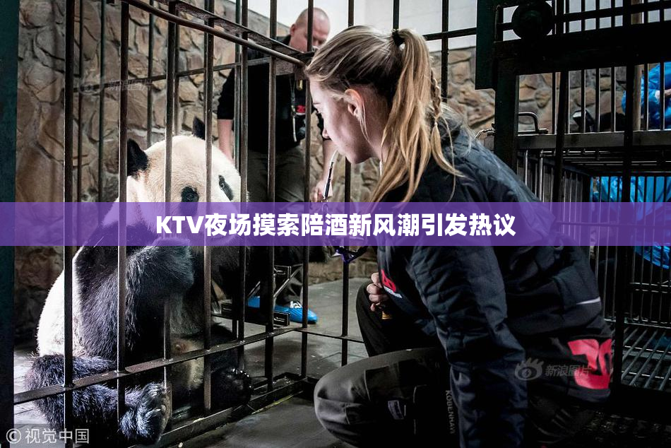 KTV夜场摸索陪酒新风潮引发热议