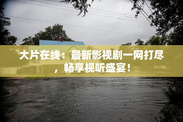 大片在线：最新影视剧一网打尽，畅享视听盛宴！
