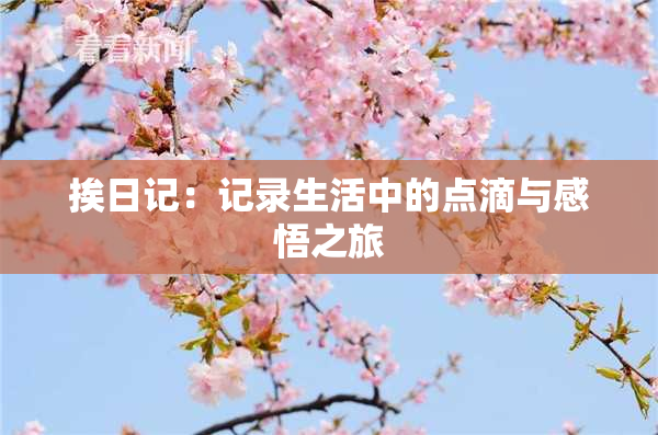 挨日记：记录生活中的点滴与感悟之旅