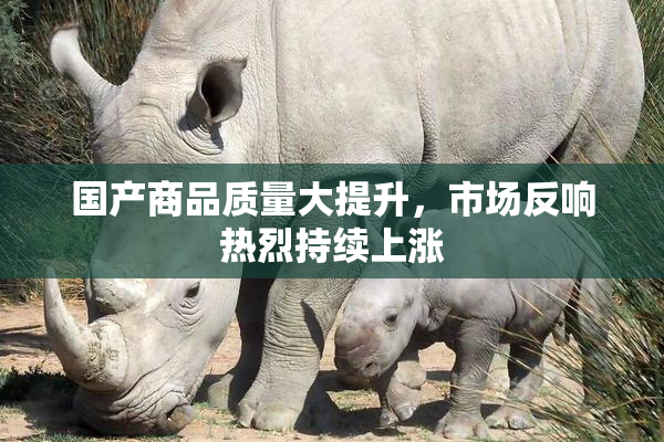 国产商品质量大提升，市场反响热烈持续上涨