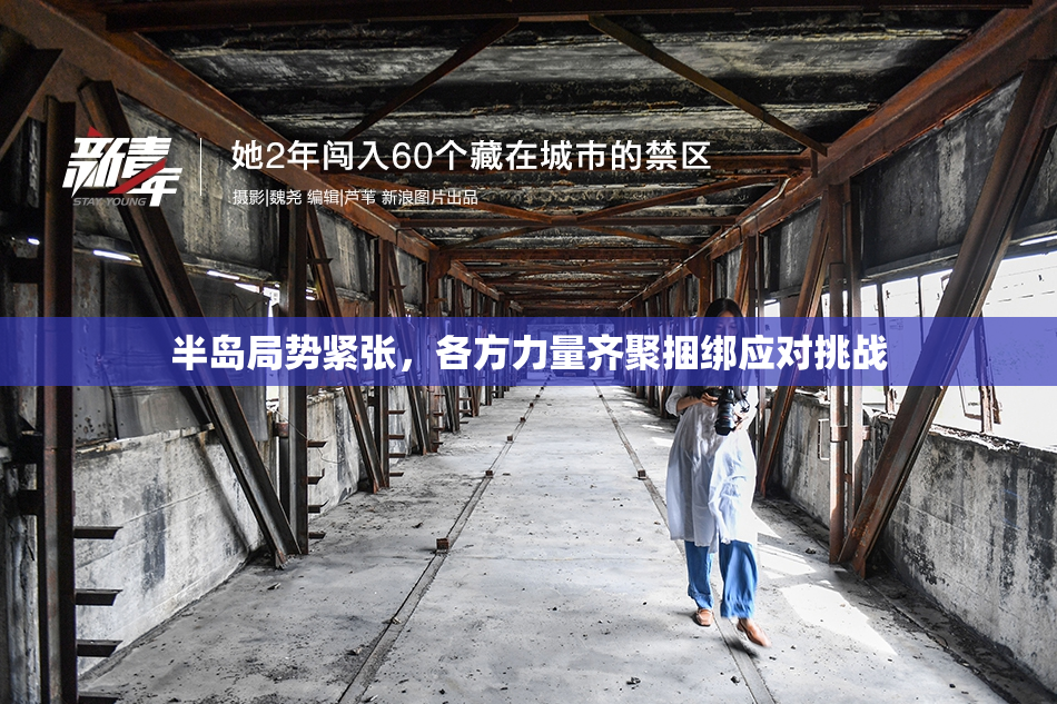 半岛局势紧张，各方力量齐聚捆绑应对挑战