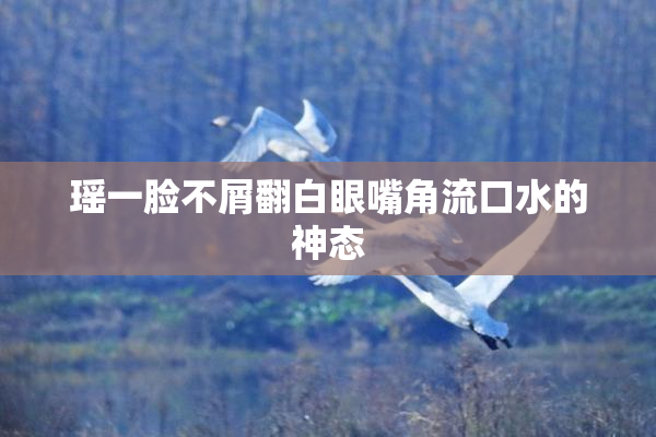 瑶一脸不屑翻白眼嘴角流口水的神态