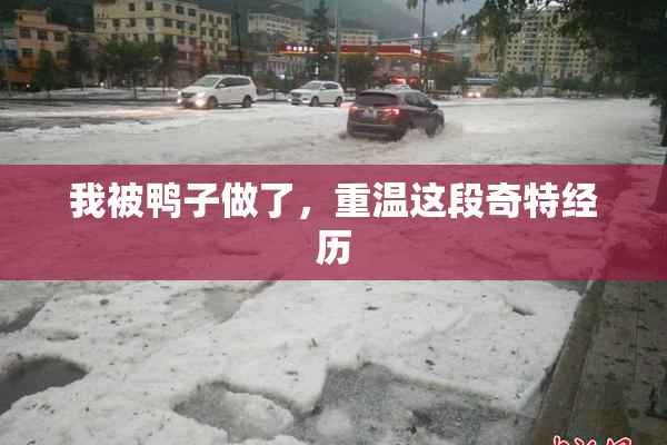 我被鸭子做了，重温这段奇特经历