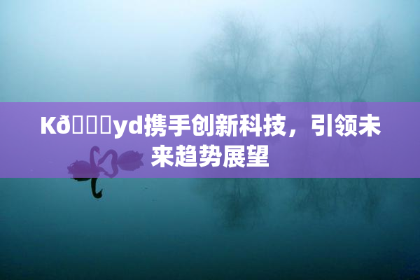 K🈚yd携手创新科技，引领未来趋势展望