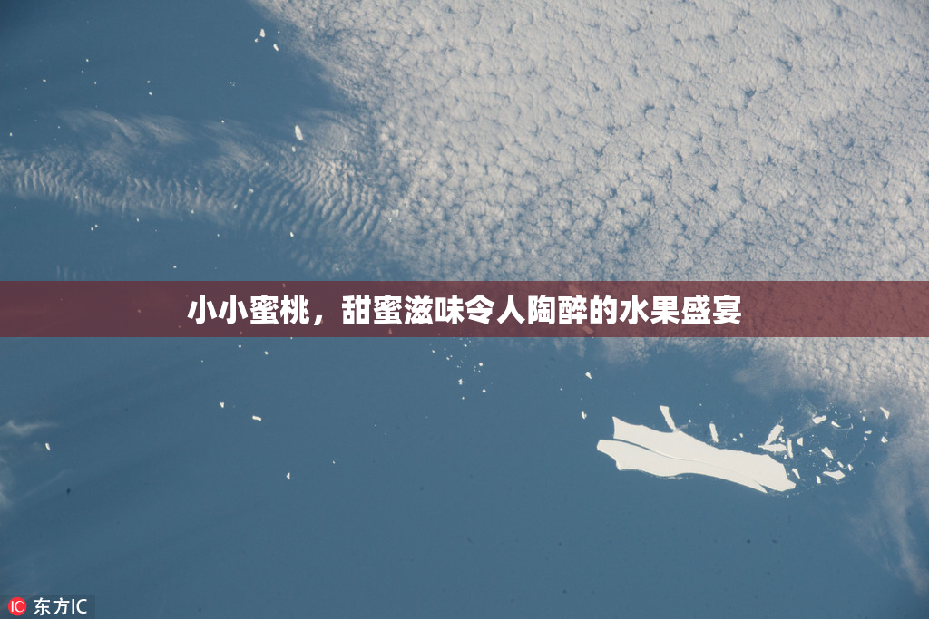 小小蜜桃，甜蜜滋味令人陶醉的水果盛宴
