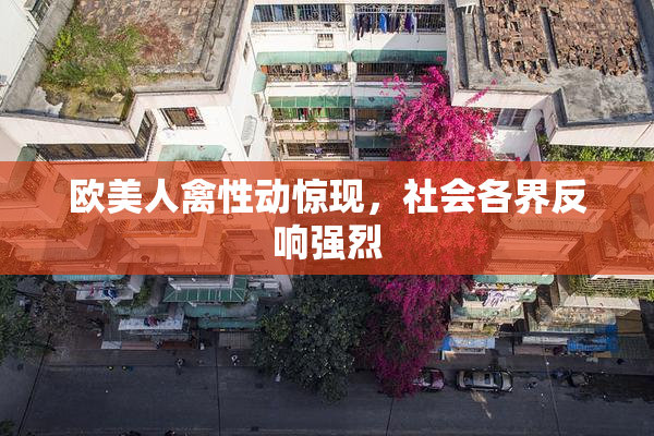 欧美人禽性动惊现，社会各界反响强烈
