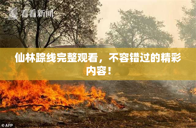 仙林踪线完整观看，不容错过的精彩内容！
