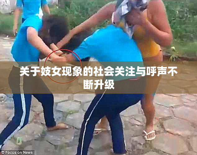 关于妓女现象的社会关注与呼声不断升级