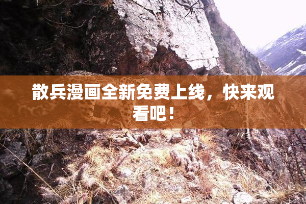 散兵漫画全新免费上线，快来观看吧！