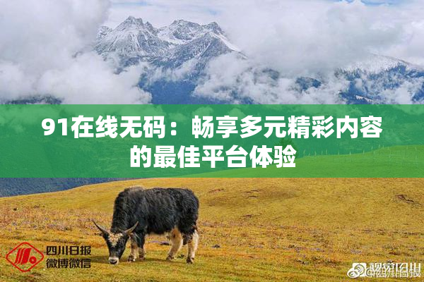 91在线无码：畅享多元精彩内容的最佳平台体验