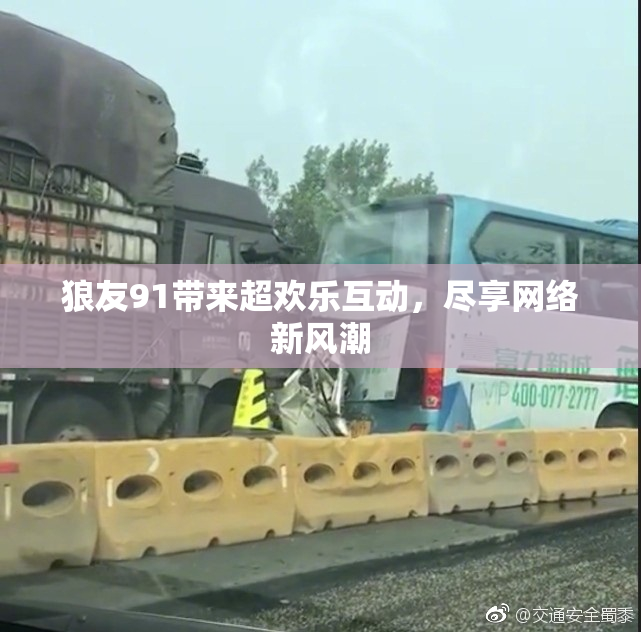 狼友91带来超欢乐互动，尽享网络新风潮