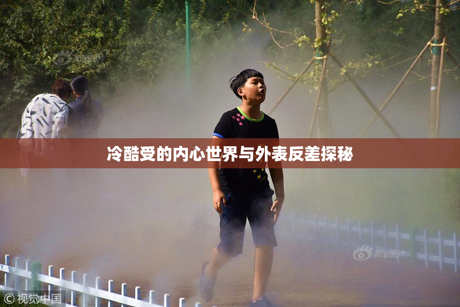 冷酷受的内心世界与外表反差探秘