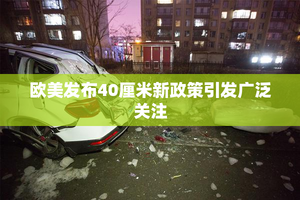 欧美发布40厘米新政策引发广泛关注