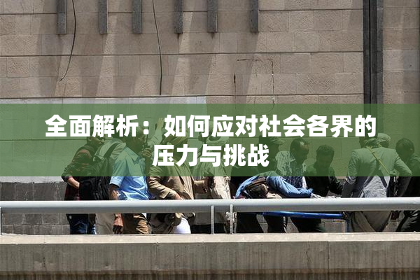 全面解析：如何应对社会各界的压力与挑战