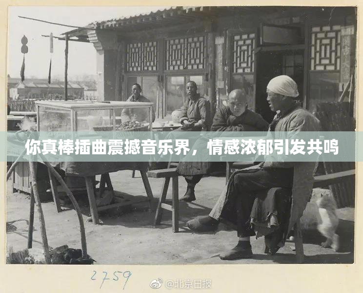 你真棒插曲震撼音乐界，情感浓郁引发共鸣