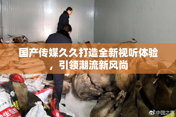 国产传媒久久打造全新视听体验，引领潮流新风尚